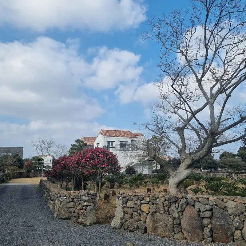 [Gujwa, Jeju] #Beautiful 2-story detached house with stone wall and lawn garden (Hydrangea) 39