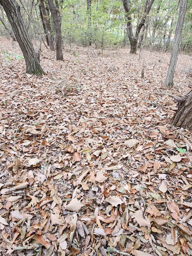 [인천 영종] 영종노을스테이~오션뷰 노을맛집 쓰리룸 주택 37
