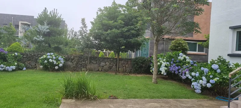 [Gujwa, Jeju] #Beautiful 2-story detached house with stone wall and lawn garden (Hydrangea) 19