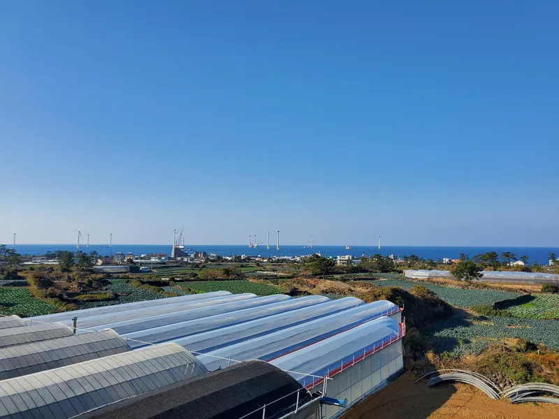[Hallim, Jeju] Ocean view duplex one-room #private terrace #barbecue possible #203 33