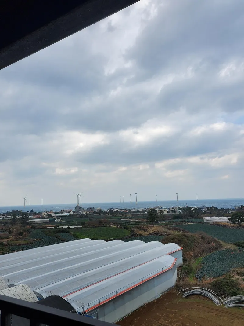 [Hallim, Jeju] Ocean view duplex one-room #private terrace #barbecue possible #202 30