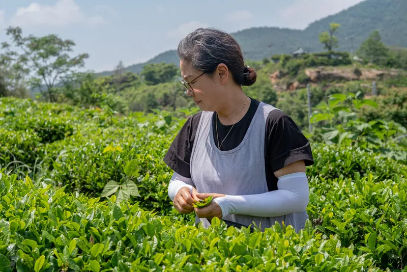 [Jangheung] A house where you can experience the meditation of healing the mind #Green Tea Room 14