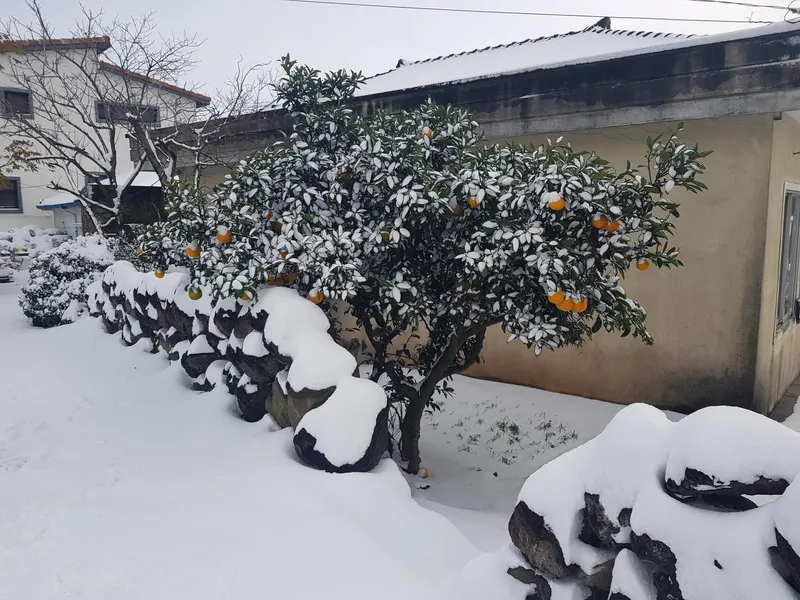 [서귀포 하원동][제주 서귀포중문]중문관광단지 벽난로 복층독채전체  월풀스파ㆍ쑥찜질숙소 34