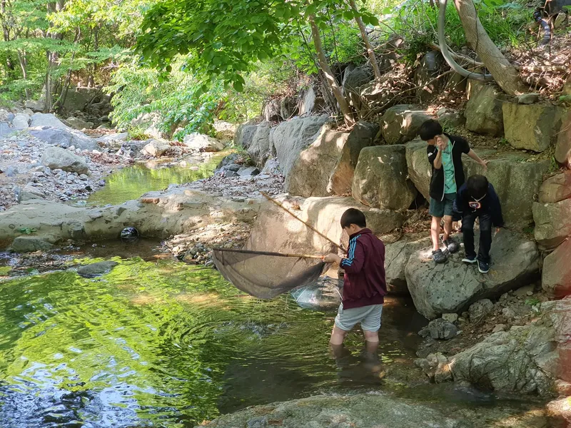 [울산 울주] 대운산 계곡 옆에 있는 잔디마당 펜션 202호 17