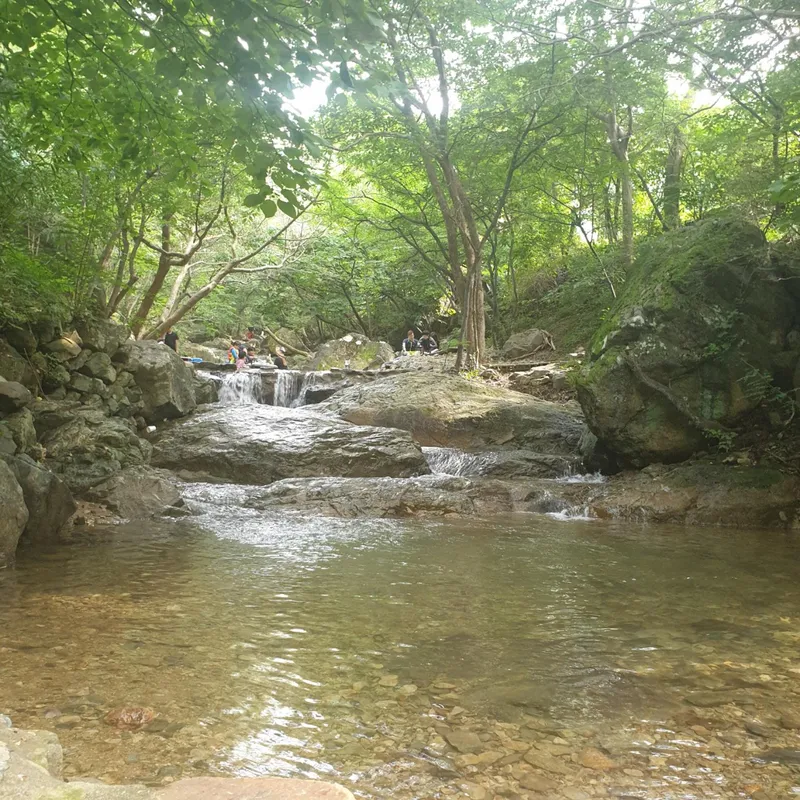 [Ulju, Ulsan] Grass yard pension 102 next to Daewunsan valley 16
