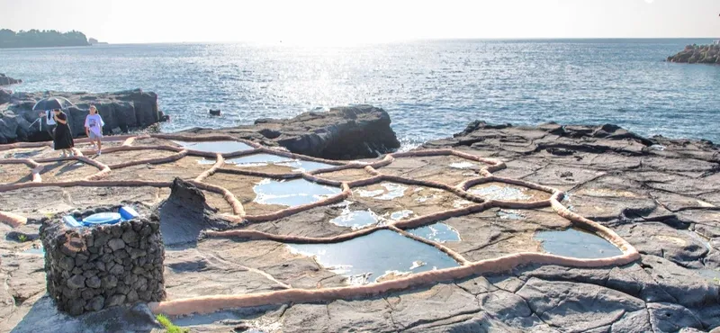 [Aewol, Jeju] Private house right in front of Olle Trail Course 16 46