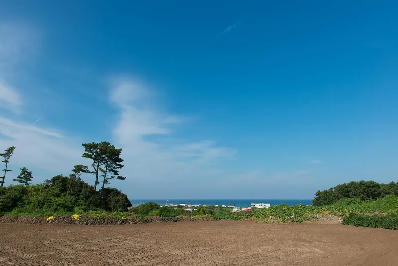 [Gujwa, Jeju] Two-room duplex detached house with a view of the blue sea 15