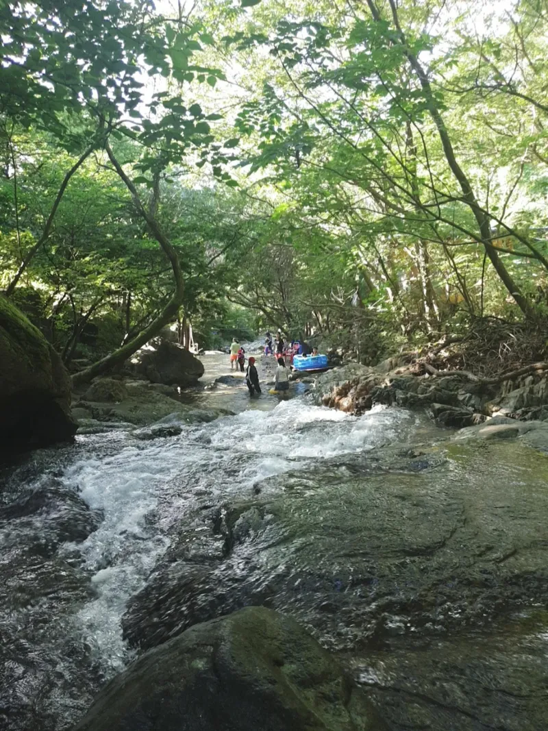 [Ulju, Ulsan] Grass yard pension 102 next to Daewunsan valley 17