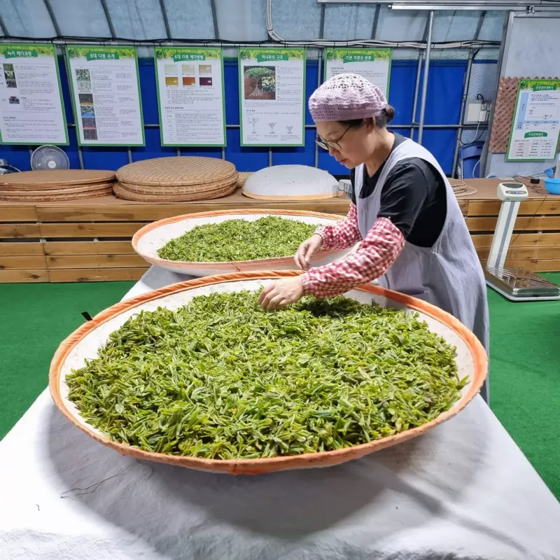 [Jangheung] A house where you can experience the meditation of healing the mind #Green Tea Room 15