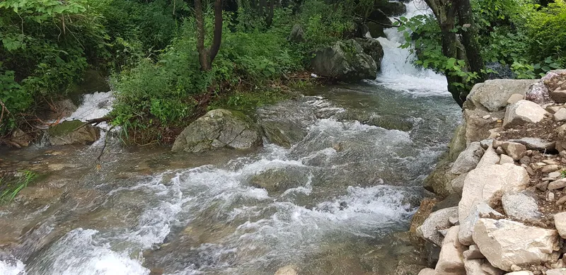 [경북 문경] #문경신축독채#산뷰가보이는조용한 산골# 애견동반 15
