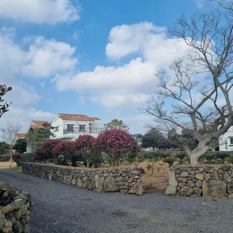 [Gujwa, Jeju] #Beautiful 2-story detached house with stone wall and lawn garden (Hydrangea) 5