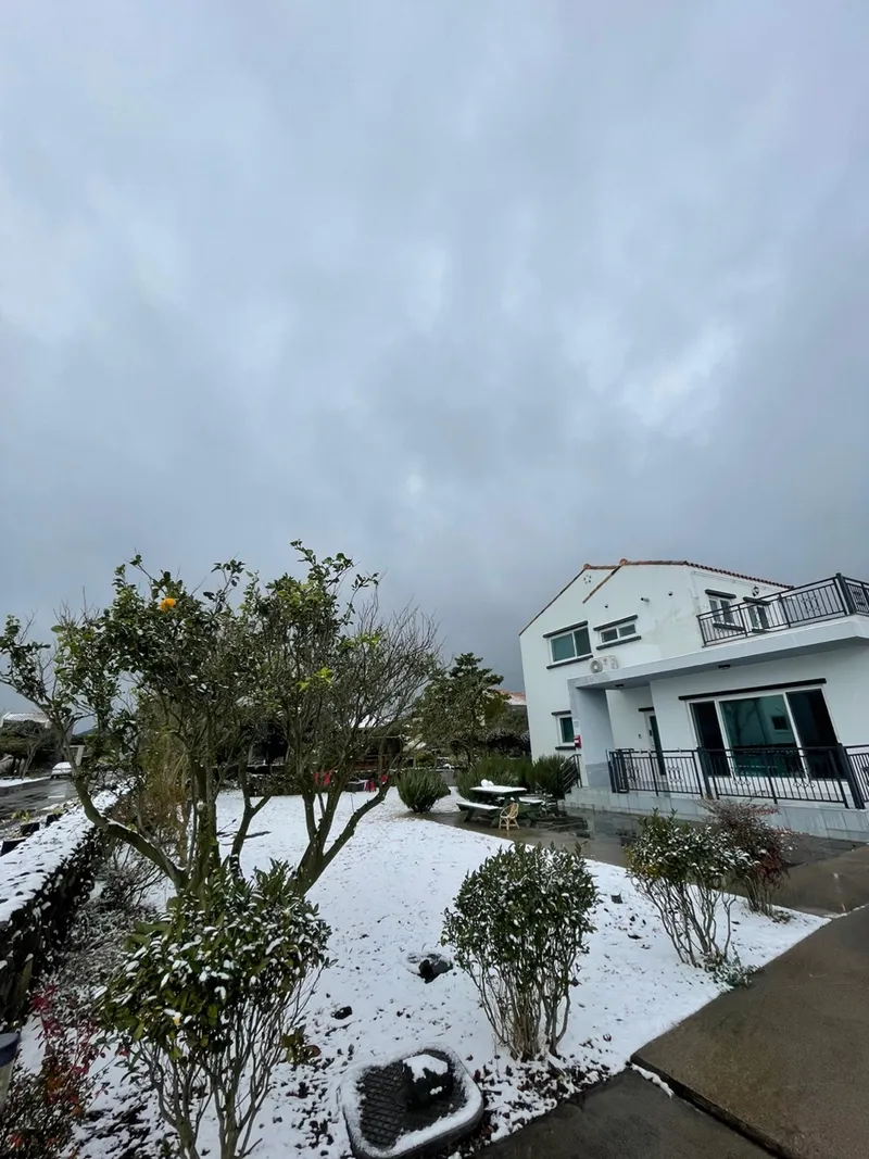 [Gujwa, Jeju] A detached house with a large stone wall and yard (Rosemary) 8