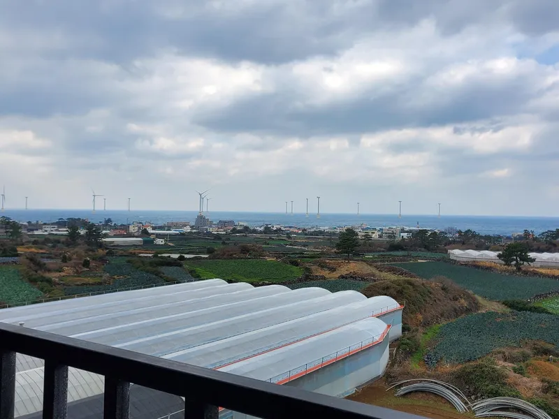 [Hallim, Jeju] Ocean view duplex one-room #private terrace #barbecue possible #202 29