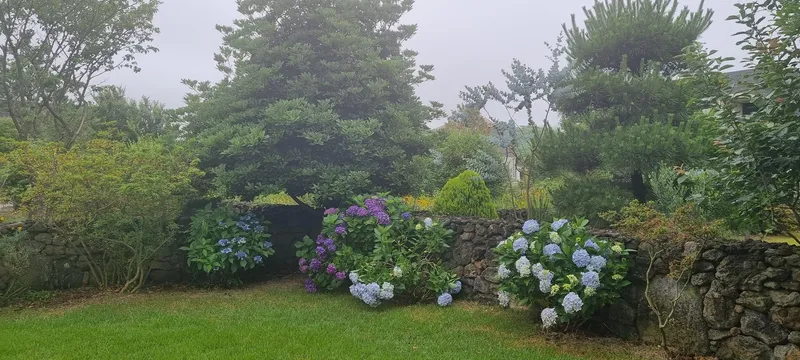 [Gujwa, Jeju] #Beautiful 2-story detached house with stone wall and lawn garden (Hydrangea) 18