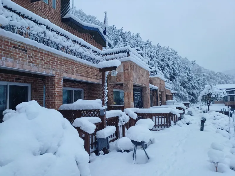 [Inje] A high-quality healing town one-room house in harmony with nature #Pets allowed 20
