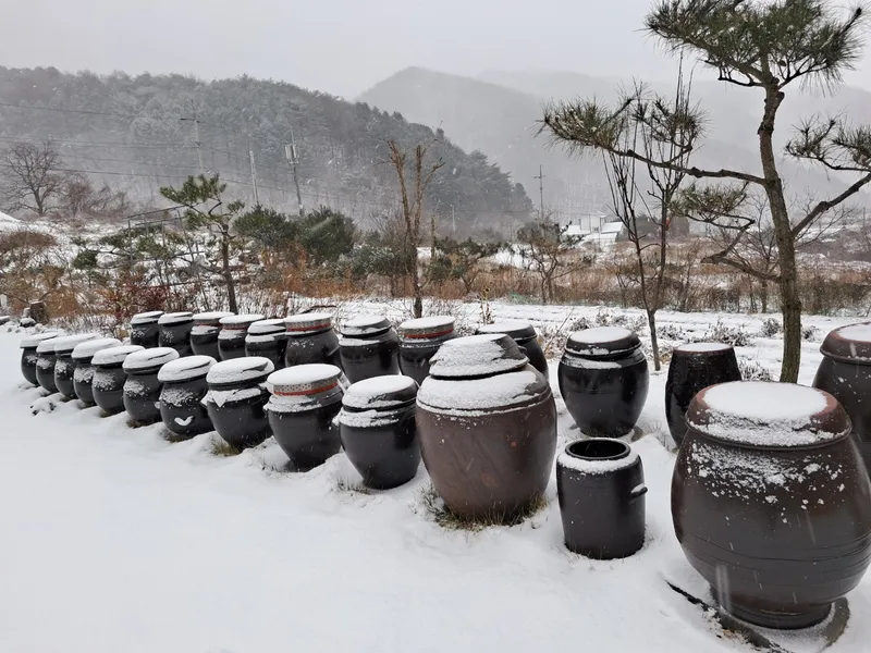 [경북 문경] 신축독채 #산뷰가 보이는 애견동반 22
