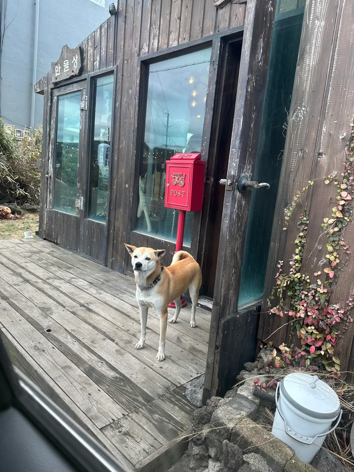 Seongsan-eup Dog-Friendly Share House