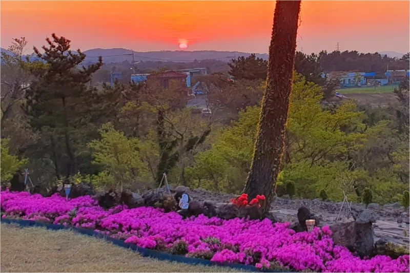 [Jocheon, Jeju] 2nd floor (family type) private accommodation with a large yard (Norumadang) 19