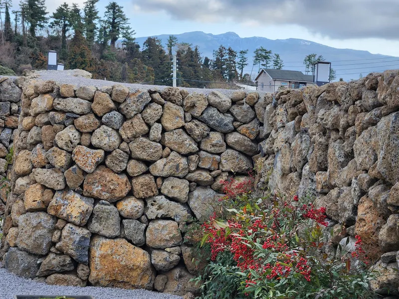 [Ara 1-dong, Jeju] Newly built, 1,000-pyeong (approximately 1,000 square meters) citrus orchard with a Jacuzzi #Near the airport 36