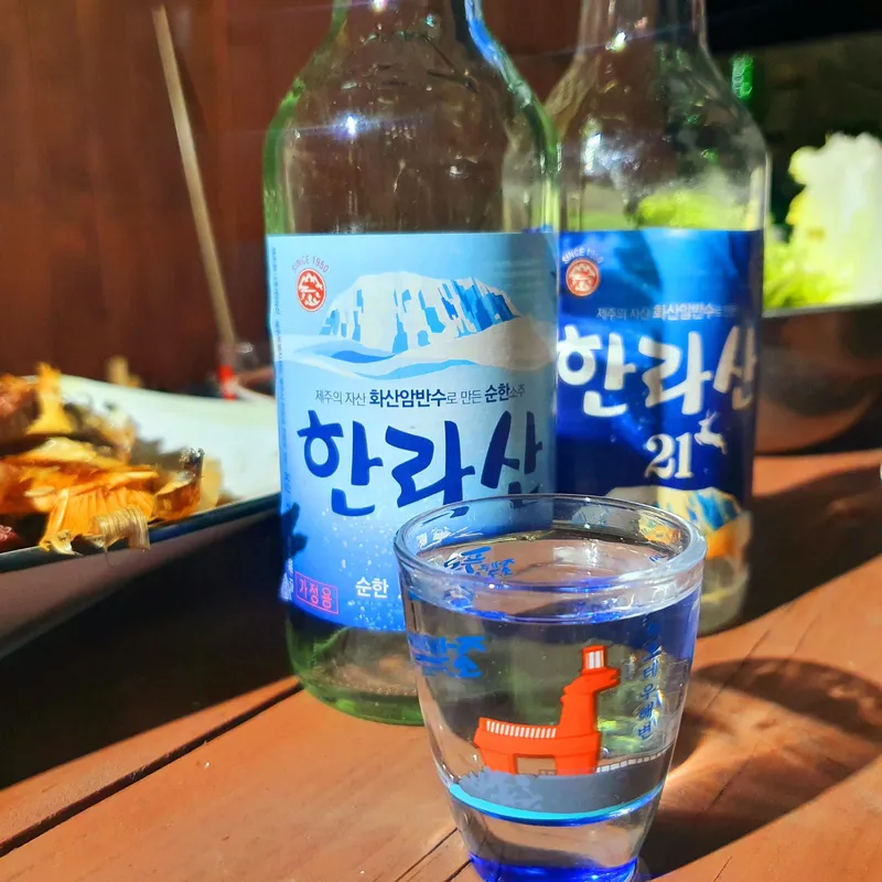 [제주 구좌] 평대 바다,오름뷰있는 원룸 스테이 #103호 51