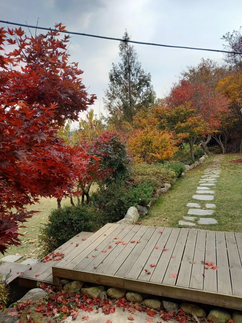 [강원 양양] 햇살마당ㅡ 낙산사 인근 한적한 전원주택 ㆍ반려견 동반 23