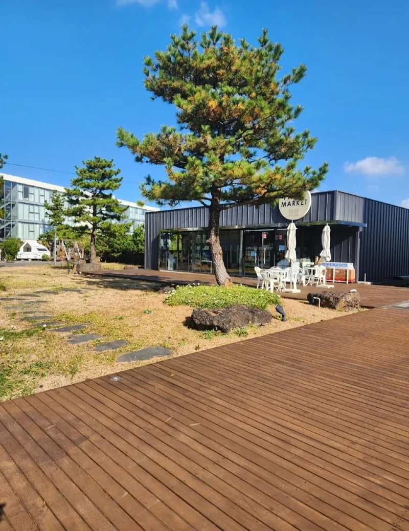 [Topyeong-dong, Seogwipo] Hotel-style twin-paned glass window for 1-2 people Cozy accommodation A 19