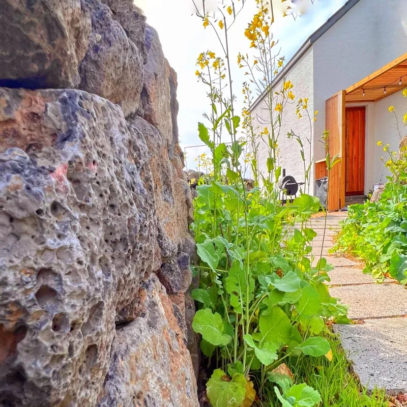 [Aewol, Jeju] Half-price discount event for full moon #Jeju emotional accommodation #Ghibli emotional #Moon 26