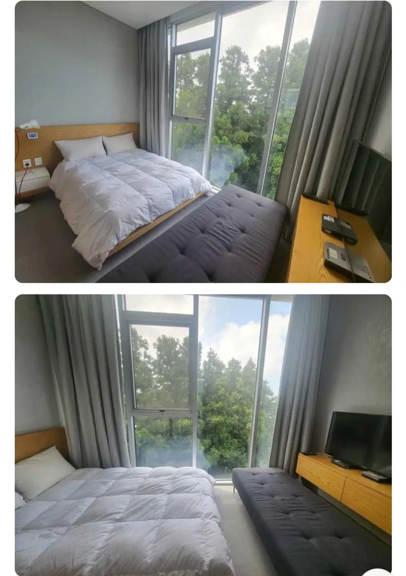 [서귀포 토평동] 호텔식 삼숲이 보이는 이국적인 풍경 숲숲숲뷰 9