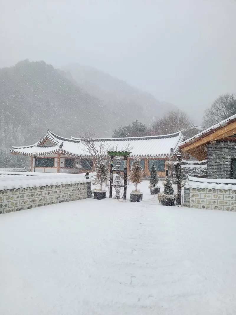 [Hamyang] Jirisan Byeoksoryeong_Two-room detached house with the charm of a Hanok in the countryside #yard 37