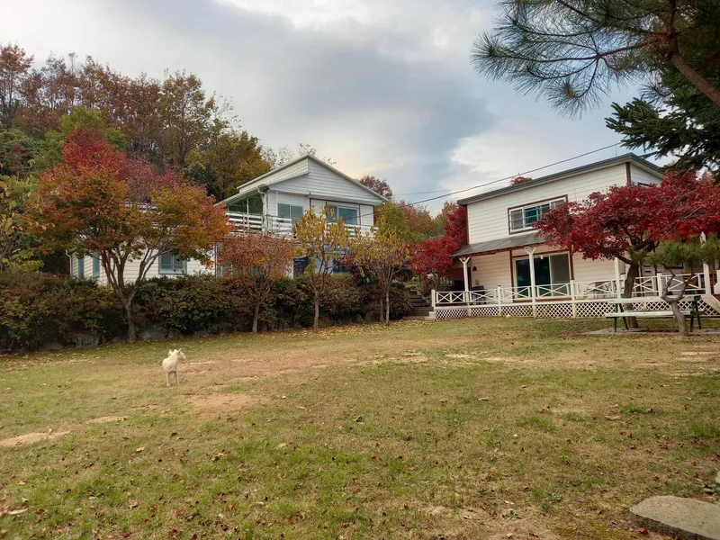[강원 양양] 햇살마당ㅡ 낙산사 인근 한적한 전원주택 ㆍ반려견 동반 22