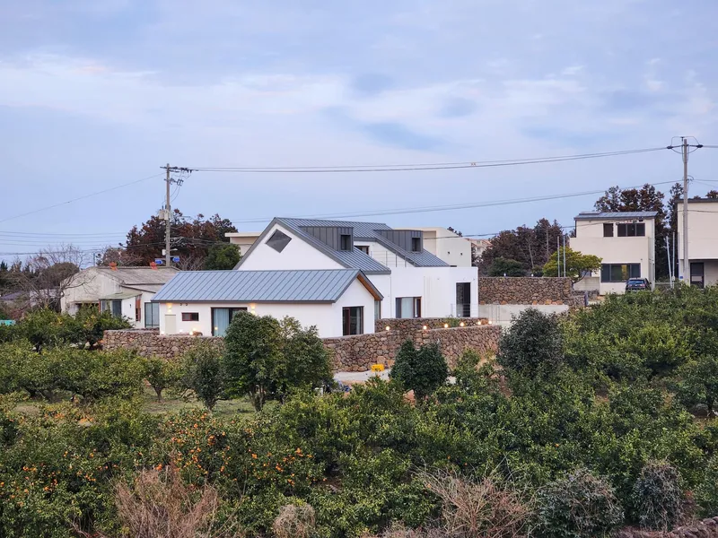 [Ara 1-dong, Jeju] Newly built, 1,000-pyeong (approximately 1,000 square meters) citrus orchard with a Jacuzzi #Near the airport 13