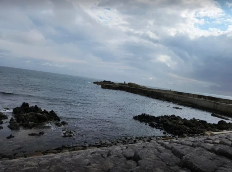 [Pohang][Pohang/Guryongpo] Shinsangdokchae near the filming locations of “When the Camellia Blooms” and “Gaetmaeul Chachacha” 19