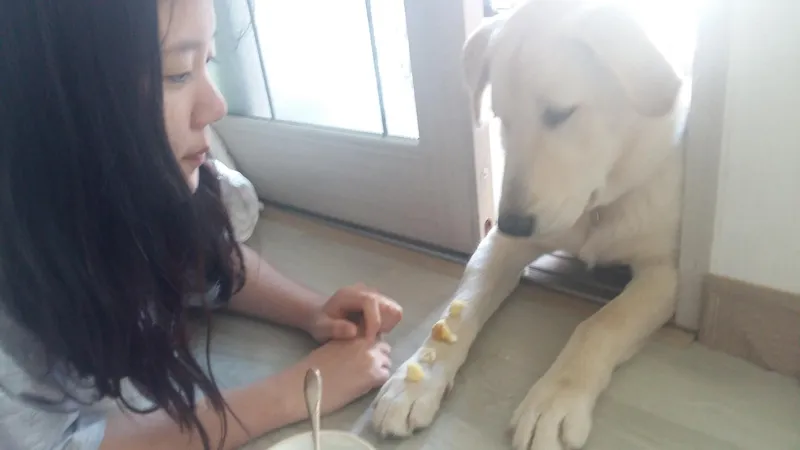 [강원 양양] 햇살마당ㅡ 낙산사 인근 한적한 전원주택 ㆍ반려견 동반 4