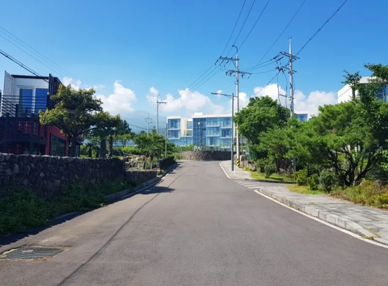 [서귀포 토평동] 호텔식 삼숲이 보이는 이국적인 풍경 숲숲숲뷰 22