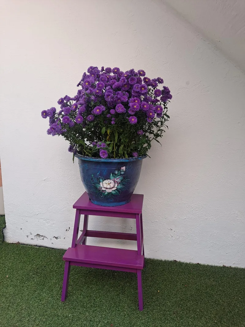 [Tongyeong] The pretty purple house on the first floor at the entrance to Dongpirang Village 20