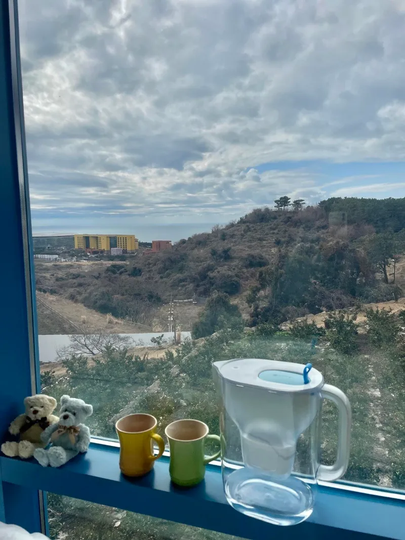 [Jungmun-dong, Seogwipo] Jungmun Tourist Complex #Ocean View ~Oreum View ~Tangerine Field View #Full-option One-Room 11