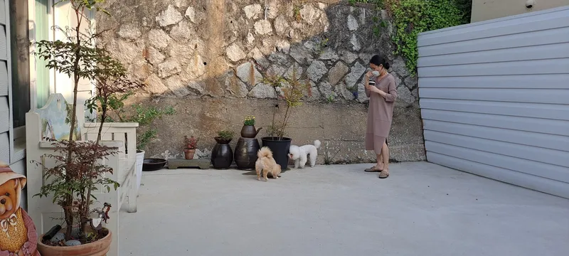 [경남 통영] 동피랑입구#중앙시장# 완전독채 #네플릭스#애견동반가능 32