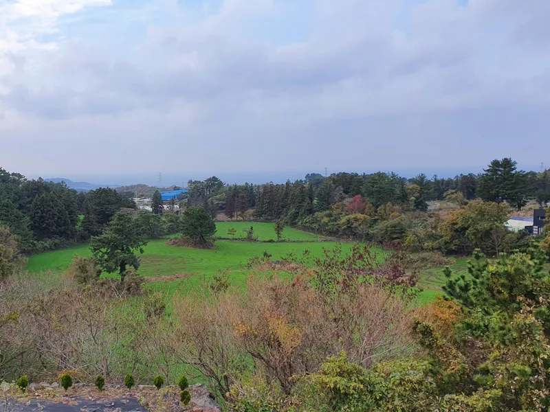 [Jocheon, Jeju] 2nd floor (family type) private accommodation with a large yard (Norumadang) 24
