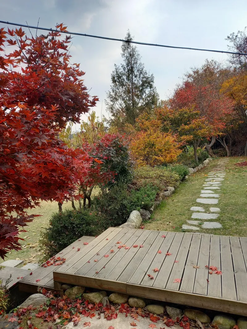 [강원 양양] 햇살마당ㅡ 낙산사 인근 한적한 전원주택 ㆍ반려견 동반 24