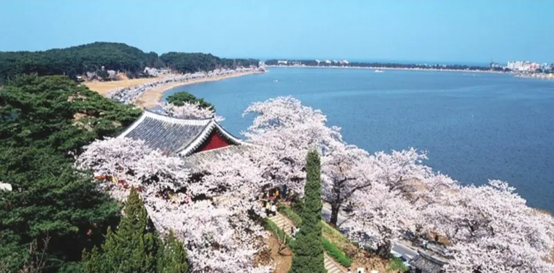 [Gangneung] # Chodang Hotspot, Olli Moteling Two-Room Accommodation near the Beach 27