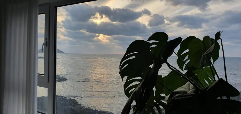 [제주 한림] 바다가 여기, 오션뷰숙소 15