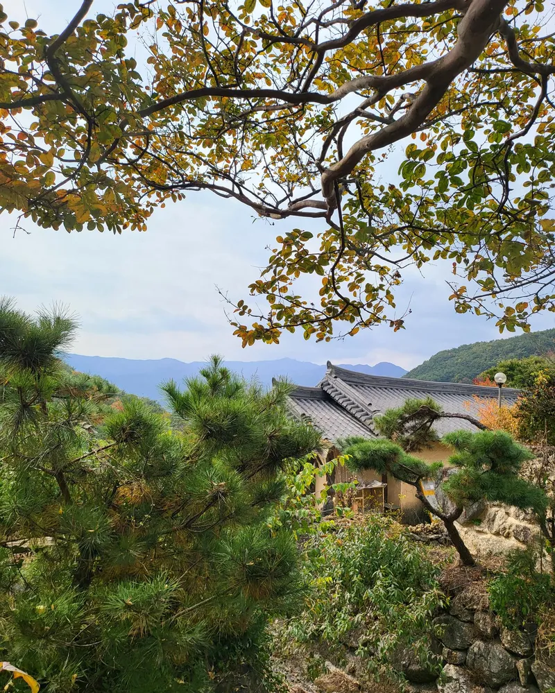 [경남 하동] 조용하고 아늑한 모란방 12