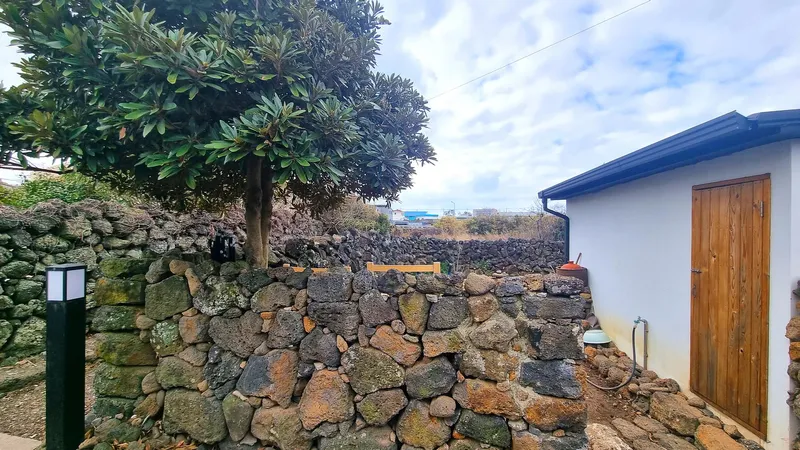 [제주 애월] 애월항 인근 돌담집 외채 단독 사용 24