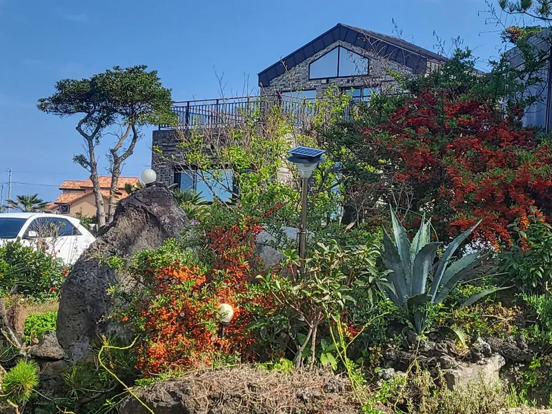 [Gujwa, Jeju] 500-pyeong flower yard independent pool villa better than swimming steam sauna Nakako front view #Cherry blossoms 29
