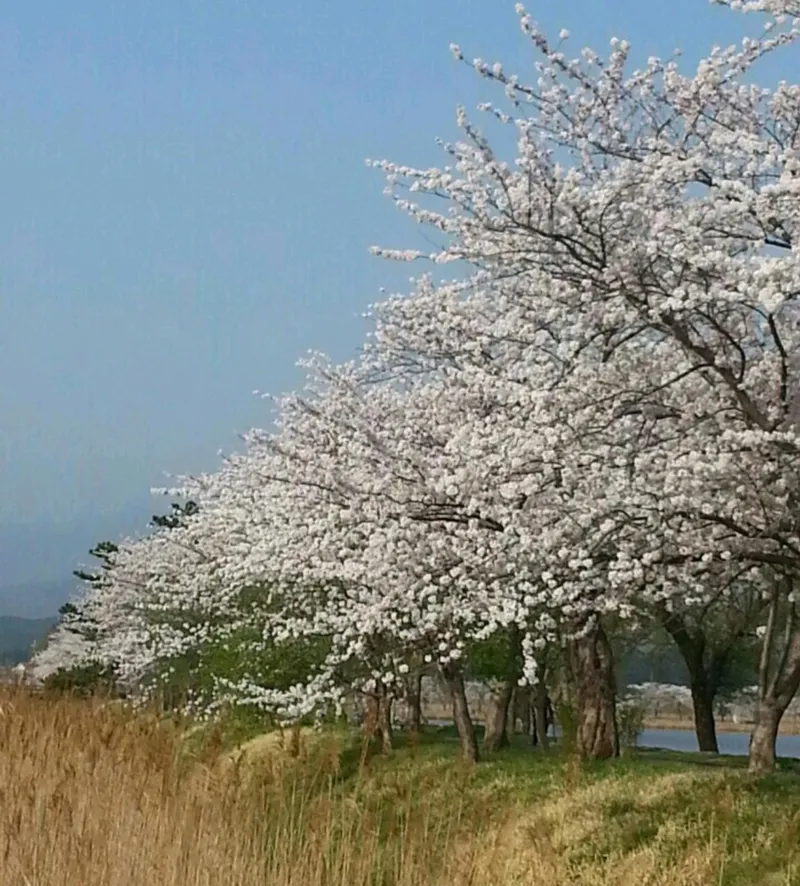 [Gangneung] # Chodang Hotspot, Olli Moteling Two-Room Accommodation near the Beach 25
