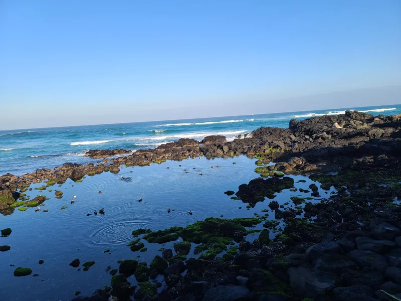 [Aewol, Jeju] Private villa on the pebble beach with spring water gushing out, next to Gwakji Beach on the Handam Beach Walkway 21