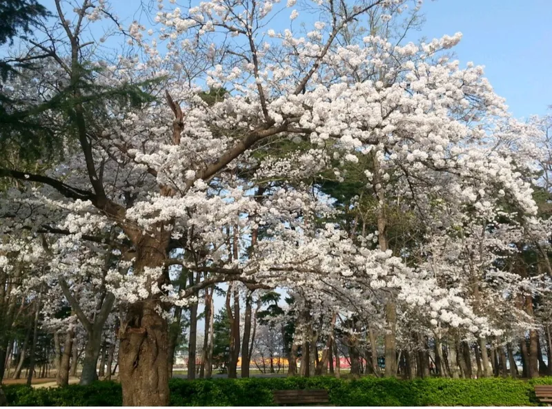 [Gangneung] # Chodang Hotspot, Olli Moteling Two-Room Accommodation near the Beach 28