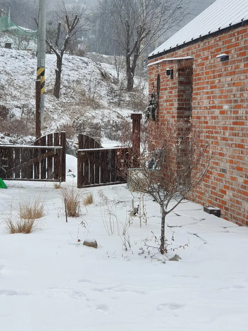 [Yangpyeong] Three-sided Mountain View, 10 minutes by car to Yangpyeong Station, detached one-room independent house 63