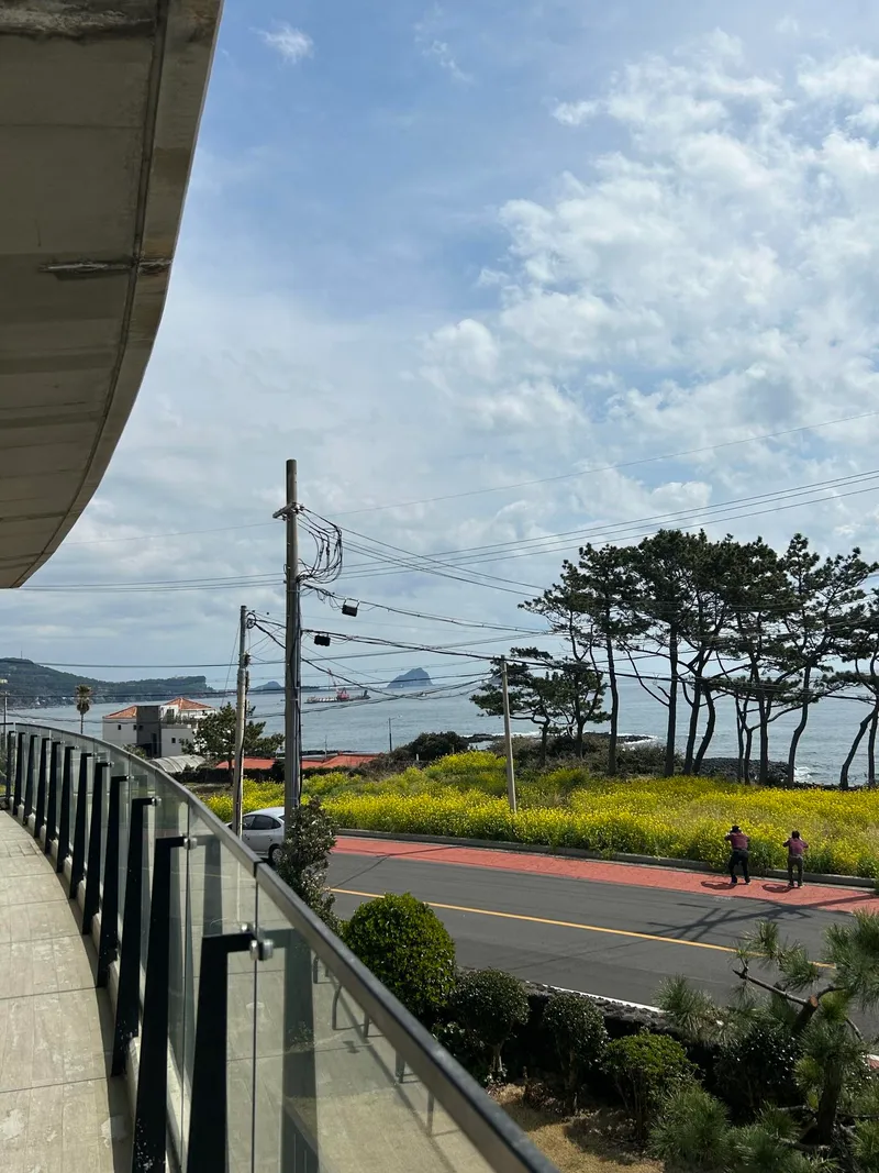 [서귀포 법환동] 바닷길러닝#집앞이바로올레길7#전실통창 오션뷰와넓은테라스 21