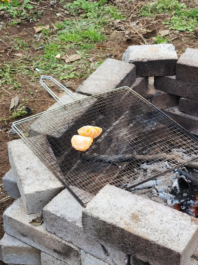 [Ara 1-dong, Jeju] Newly built, 1,000-pyeong (approximately 1,000 square meters) citrus orchard with a Jacuzzi #Near the airport 49